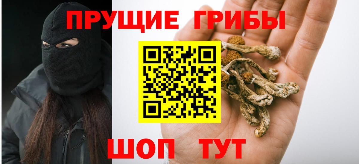 Галлюциногенные грибы ЛСД  закладки  Славгород  Вход с VPN  Галлюциногенные грибы MAGIC MUSHROOMS 